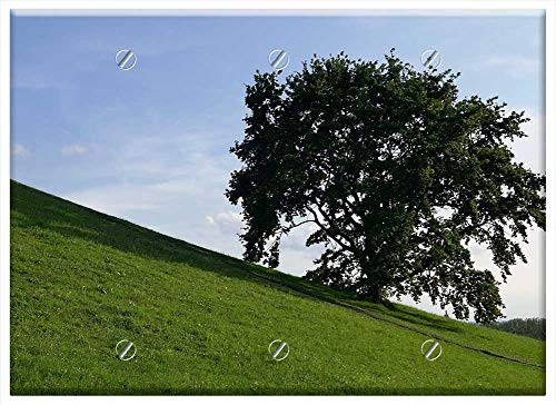 Triple Blank Wall Plate Cover - Tree Hill Slope Meadow Green Sky Landscape