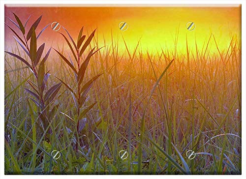 Triple Blank Wall Plate Cover - Sunrise Colorful The Sun Glow Meadow Rosa The Fog