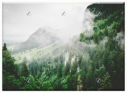 Triple Blank Wall Plate Cover - Nature Forests Trees Slope Fog Green