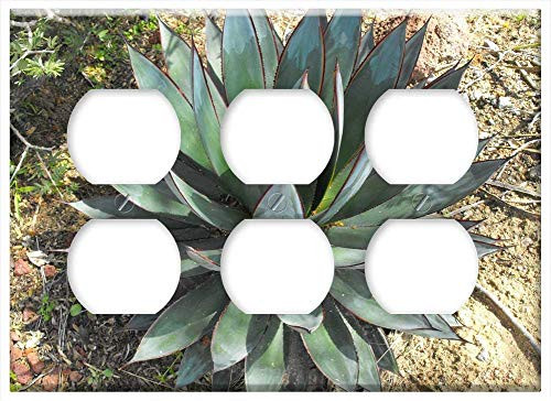 Triple Duplex Outlet Wall Plate Cover - Agave Blue Glow Symmetrical Rosette Succulent