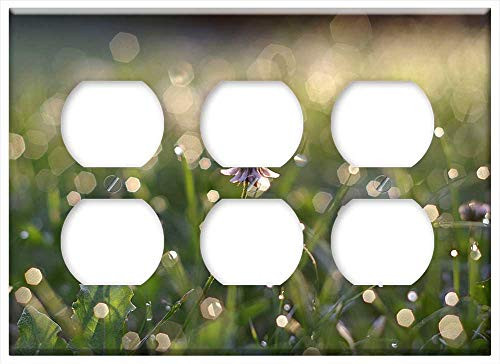 Triple Duplex Outlet Wall Plate Cover - Clover White Rosa Grass Blade Glow Dawn Morning Triple Duplex Outlet Wall Plate Cover - Clover White Rosa Grass Blade Glow Dawn Morning