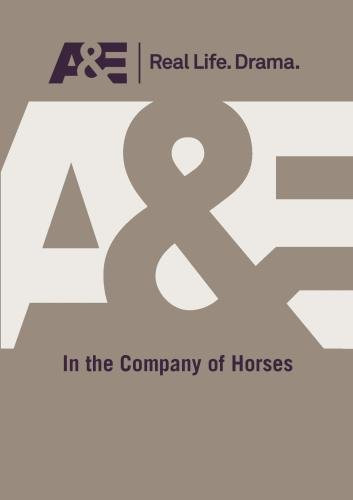 In The Company Of Horses Dvd