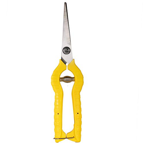 Pruning Shears, Spring Loaded with Safety Lock - Plant Trimming Floral Hand Garden Scissors with Straight Stainless Steel Blades