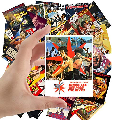 Large Stickers (24 pcs 2.5"x3.5") Bruce Lee and Chuck Norris Kungfu Vintage Trash Movie Posters Ads