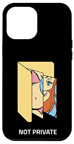 iPhone 12 Pro Max Desktop Folder Not Private Sarcastic Funny Gift Case