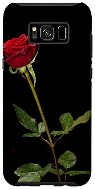 Galaxy S8Plus Black Red Rose Garden Bloom Floral Print Valentines Day Gift Case Galaxy S8Plus Black Red Rose Garden Bloom Floral Print Valentines Day Gift Case