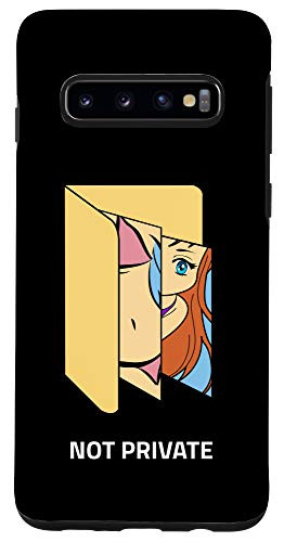 Galaxy S10 Desktop Folder Not Private Sarcastic Funny Gift Case