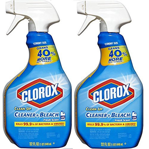 Clorox 055500015290 Clean-Up Disinfectant Bleach Cleaner, Fresh Scent(Pack of 2)
