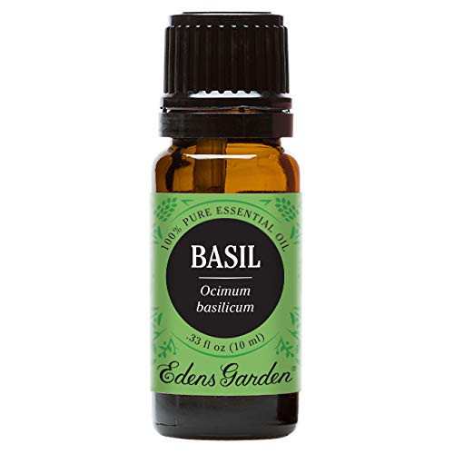 Edens Garden Basil Essential Oil, 100 percent Pure Therapeutic Grade (Pain and Sleep) 10 ml Edens Garden Basil Essential Oil, 100 percent Pure Therapeutic Grade (Pain and Sleep) 10 ml
