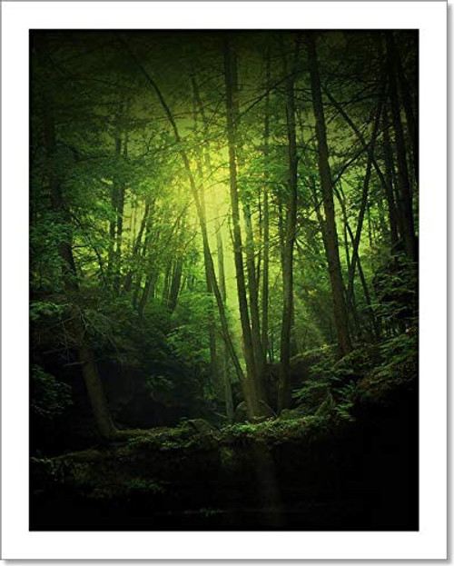 Barewalls Fantasy Forest Paper Print Wall Art (10in. x 8in.)