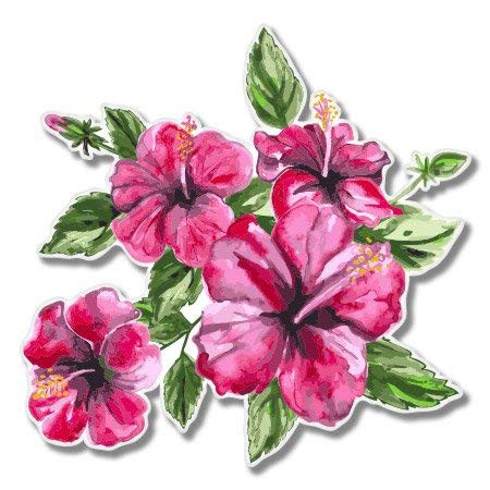 AK Wall Art Hibiscus Beautiful Tropical Watercolor Vinyl Sticker - Select Size
