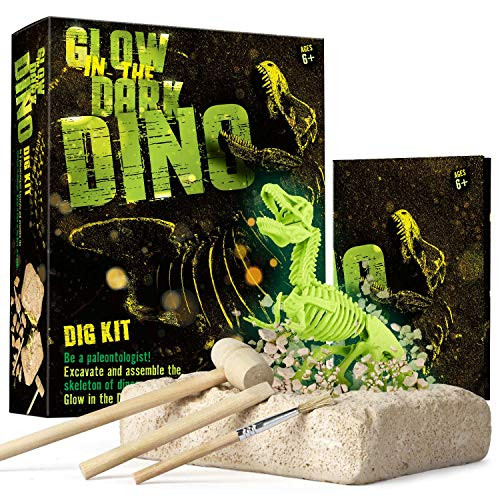 XXTOYS Dino Skeleton Dig Kit for Kids - Glow in The Dark Dinosaur Fossil - Dinosaur Toys for Boys  and  Girls, Great Birthday, STEM Science, Archaeology Gift for Kids Age 4-12 XXTOYS Dino Skeleton Dig Kit for Kids - Glow in The Dark Dinosaur Fossil - Dinosaur Toys for Boys  and  Girls, Great Birthday, STEM Science, Archaeology Gift for Kids Age 4-12