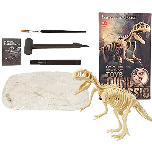 Children's Dinosaur Fossil Skeleton kit, Dinosaur Bone Excavation kit, Tyrannosaurus Excavation DIY Toys, Popular Science Educational Toys for Boys and Girls.