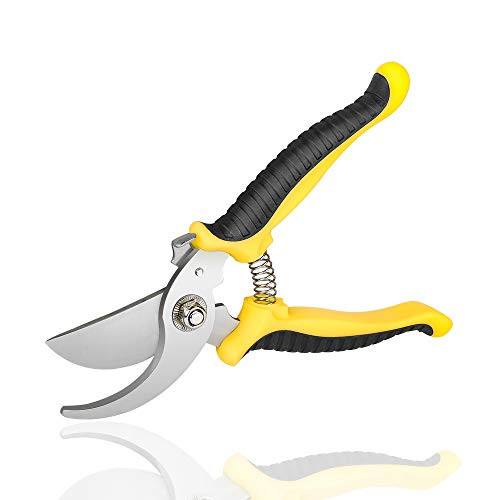Professional Garden Bypass Pruning Shears Garden Scissors Tree Trimmers Secateurs Stainless Steel Pruner Shear with Sharp Precision Blades Professional Garden Bypass Pruning Shears Garden Scissors Tree Trimmers Secateurs Stainless Steel Pruner Shear with Sharp Precision Blades