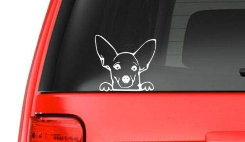 Chihuahua Sticker for Car Decal Truck Window Sticker Laptop Decal Auto Vinyl Sticker Motorcycle Helmet