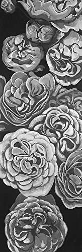 Posterazzi Collection Grayscale Dahlias Poster Print by Atelier B Art Studio (8 x 24)