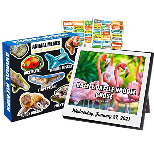 Animal Memes 2021 Calendar, Box Edition Bundle - Deluxe 2021 Memes Day-at-a-Time Box Calendar with Over 100 Calendar Stickers