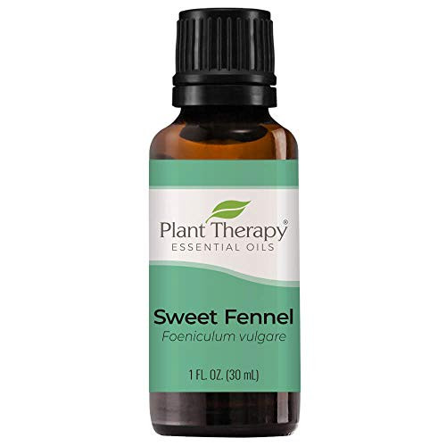 Plant Therapy Sweet Fennel Essential Oil 30 mL (1 oz) 100 percent Pure, Undiluted, Therapeutic Grade Plant Therapy Sweet Fennel Essential Oil 30 mL (1 oz) 100 percent Pure, Undiluted, Therapeutic Grade
