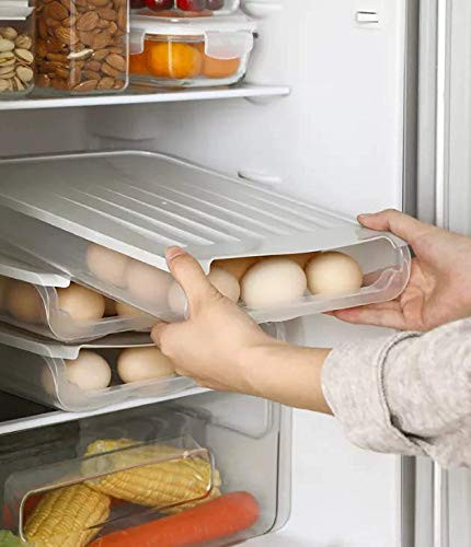 WORUIJIA Egg Storage Box-Simple Style, Auto Scrolling Egg Storage Holder, Egg Storage Rack Refrigerate Food Savers, Household Egg Tray for Refrigerator Kitchen, Storing in Cupboards,Fridge (Gray)