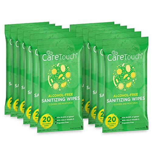 Care Touch Alcohol-Free Hand Sanitizing Wipes - 12 Pouches, 240 Wipes - Moisturizing Hand Wipes with Vitamin-E and Aloe Vera - Great for Babies and Adults, Safe for All Skin Types