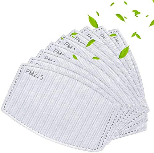 PM 2.5 Activated Carbon Filter Insert, Replaceable Anti Haze Filter Paper?10 PCS?