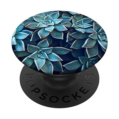 Cactus / Cacti Plant - Great for Nature and Garden Lovers PopSockets PopGrip: Swappable Grip for Phones  and  Tablets