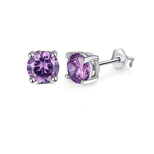 Fereendo 925 Sterling Silver Birthstone Stud Earrings Round Cut Cubic Zircon Amethyst Birthstone Earrings Studs FebruaryBirthday Jewelry Gift for Women Teen Girls Fereendo 925 Sterling Silver Birthstone Stud Earrings Round Cut Cubic Zircon Amethyst Birthstone Earrings Studs FebruaryBirthday Jewelry Gift for Women Teen Girls