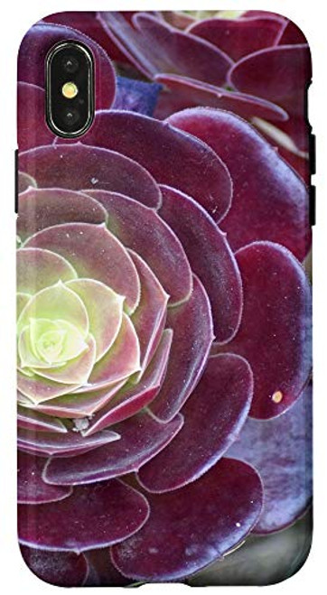 iPhone X/XS Cactus Flower Cacti Succulent Garden Cool Plant Lover Gifts Case iPhone X/XS Cactus Flower Cacti Succulent Garden Cool Plant Lover Gifts Case