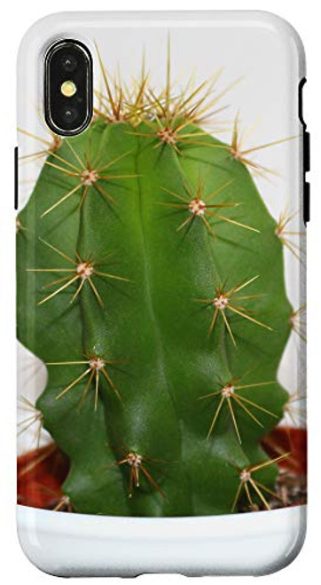 iPhone X/XS Cactus Pot Cacti Succulent Garden Cool Plant Lover Gifts Case iPhone X/XS Cactus Pot Cacti Succulent Garden Cool Plant Lover Gifts Case
