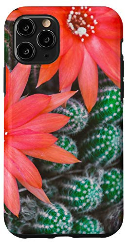 iPhone 11 Pro Cactus Flower Cacti Succulent Garden Cool Plant Lover Gifts Case