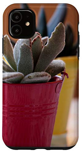 iPhone 11 Cactus Pot Cacti Succulent Garden Cool Plant Lover Gifts Case
