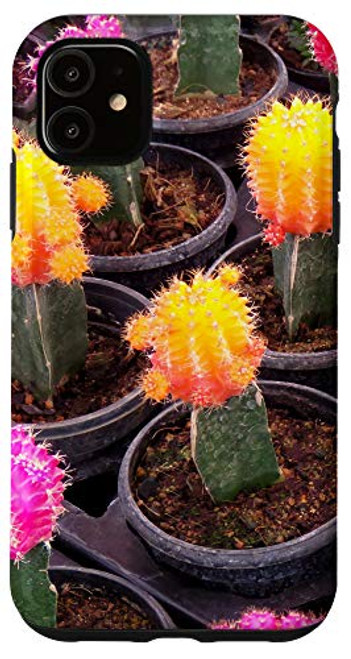 iPhone 11 Cactus Flower Pot Cacti Succulent Garden Plant Lover Gifts Case iPhone 11 Cactus Flower Pot Cacti Succulent Garden Plant Lover Gifts Case
