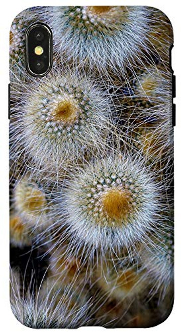 iPhone X/XS Cactus Cacti Succulent Desert Garden Cool Plant Lover Gifts Case iPhone X/XS Cactus Cacti Succulent Desert Garden Cool Plant Lover Gifts Case