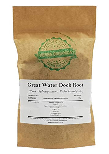 Great Water Dock Root - Rumex Hydrolapathum L   Herba Organica   Water Dock, Giant Water Dock (50g)