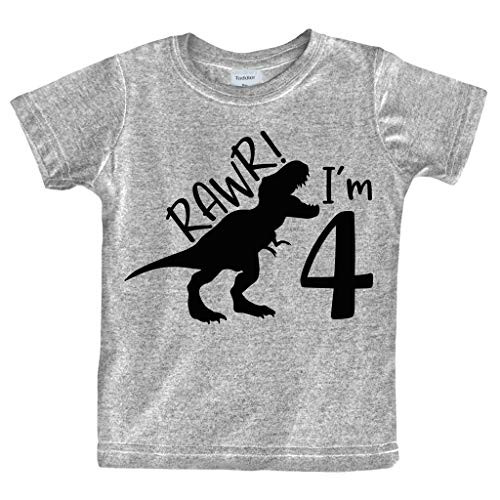 rawr im 4 Year Old boy Shirt Roar 4th Birthday Shirt boy Four Dinosaur Tshirt (Light Gray, 4T)