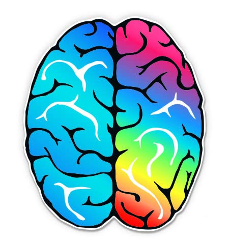 GT Graphics Brain Colorful Logical Creative - 3" Vinyl Sticker - for Car Laptop I-Pad Phone Helmet Hard Hat - Waterproof Decal
