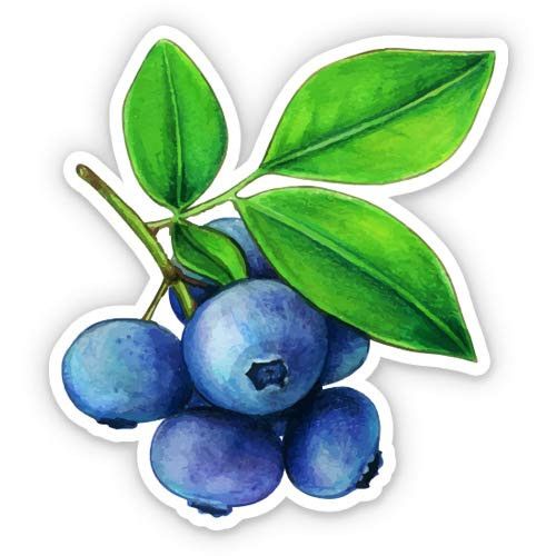 GT Graphics Express Blueberries Pretty Painted - 3" Vinyl Sticker - for Car Laptop Water Bottle Phone - Waterproof Decal