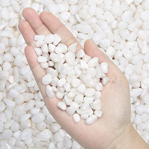 Pebbles Polished Gravel-Aquarium Gravel River Rock,Natural Decorative Polished White Stones 3/8" Gravel Size,Small Decorative Pebbles for Plants,Home Decor,Landscaping,Vase Fillers and More, 5.7 lb Pebbles Polished Gravel-Aquarium Gravel River Rock,Natural Decorative Polished White Stones 3/8" Gravel Size,Small Decorative Pebbles for Plants,Home Decor,Landscaping,Vase Fillers and More, 5.7 lb