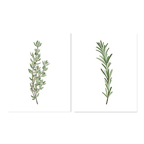 Set of 2 Plant Art Prints Botanical Herbs Rosemary Thyme for Bathroom Kitchen Bedroom (Many Sizes)