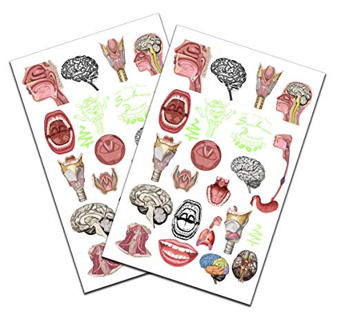 SLP Anatomy Body Glow and Color Temporary Tattoo Set 2 Pack