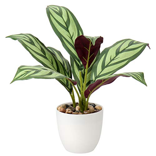 Fake Plants, Artificial Potted Faux Plants Fiddle Leaf Fig Green Leaf Small Plant in Pot for Home Office Desk Bathroom Indoor Decor