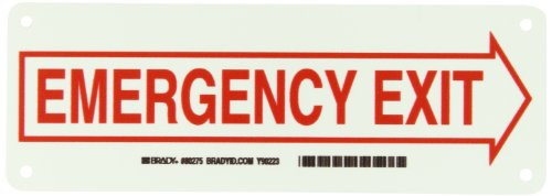 Brady 80275 3.5" Height, 10" Width, B-347 Plastic, Red On Green Color Glow-In-The-Dark Exit And Directional Sign, Legend "Emergency Exit (With Picto)"
