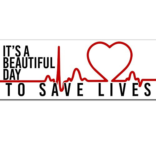 Decal Serpent It's A Beautiful Day to Save Lives Anatomy McDreamy Heart Monitor Quote Grey Sticker 8"