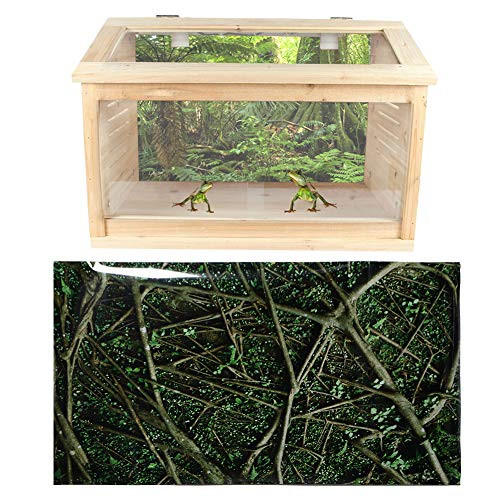 GLOGLOW Reptile Tank Poster, Trees Jungle Aquarium Background Poster PVC Adhesive Terrarium Backdrop Decoration Paper Sticker for Aquarium Reptile Tank Decoration(61x41cm)