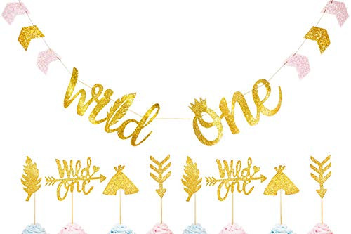 Letjolt Wild One Tribal Boho First Birthday Party Banner Signs (10 feet) Tribal Cupcake Topper Cake Topper (8 pcs) Wild One Birthday Party Supplies Tribal Party Arrow Feather Teepee Decoration