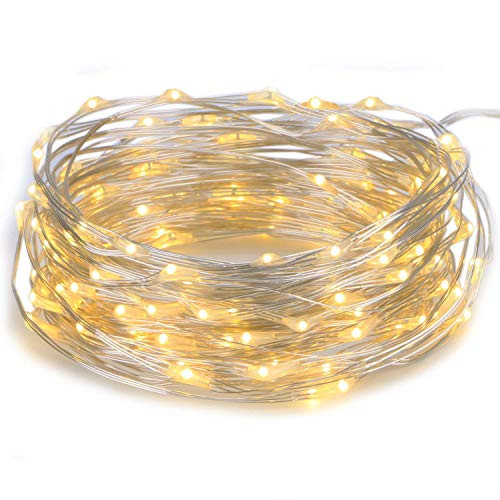 LEDGOO LED String Light 39ft with 100Leds, Warm White USB Holiday Light Copper Wire Starry Lights, Indoor and Outdoor Decoration Light for Christmas Holiday Wedding Party Furniture 