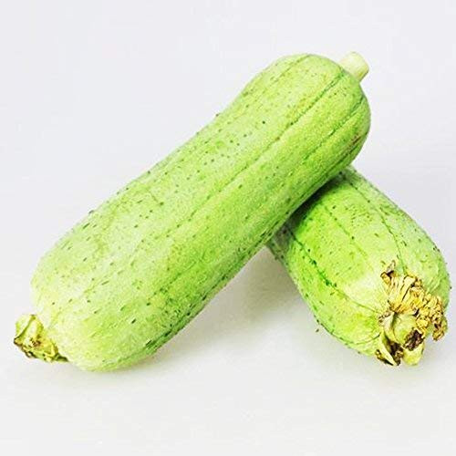 Luffa Seeds 10g Gourd Loofah Long Smooth Sponge Melon Garden Vegetable Organic Chinese Green Fresh Climbing Herb Seeds for Planting Outdoor for Cooking Dish Soup Easy to Grown (Loofah Seeds) Luffa Seeds 10g Gourd Loofah Long Smooth Sponge Melon Garden Vegetable Organic Chinese Green Fresh Climbing Herb Seeds for Planting Outdoor for Cooking Dish Soup Easy to Grown (Loofah Seeds)