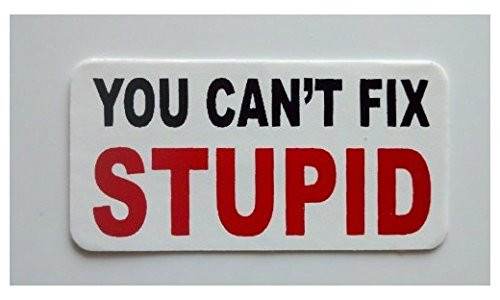 Large 5'' Sticker - You Cant Fix Stupid Hard Hat - Construction Toolbox, Hardhat, Lunchbox, Helmet, Mechanic  and  More