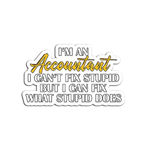 Funny Accountant I Fix Stupid - Sticker Graphic - Auto, Wall, Laptop, Cell, Truck Sticker for Windows, Cars, Trucks