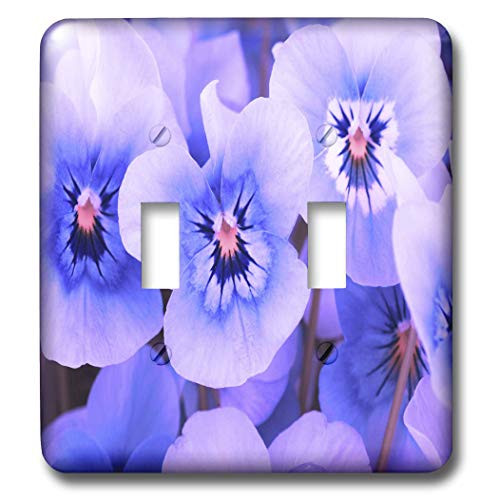 3dRose lsp_41448_2 inchViolet Pansies Double Toggle Switch